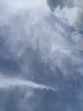 Ema Rose  online show from 04-18-26, 09:48