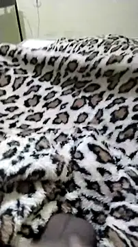 Novinhoie online show from 04-28-26, 01:49