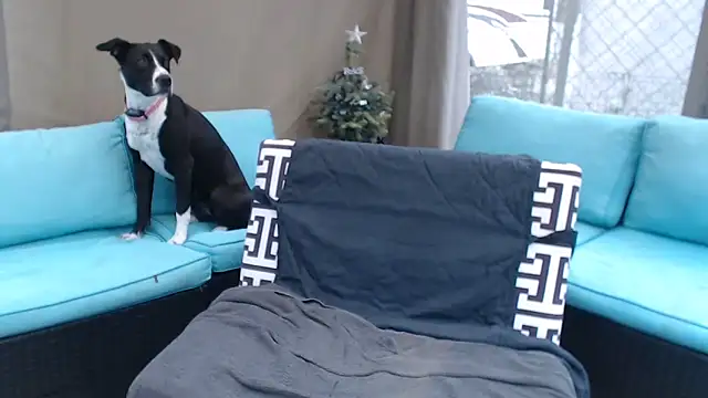 Snapshot of mspatience chatting on 03-06-26, 08:27 mspatience online show from 03-06-26, 08:27