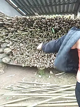 yeutinh00 online show from 03-14-26, 05:13