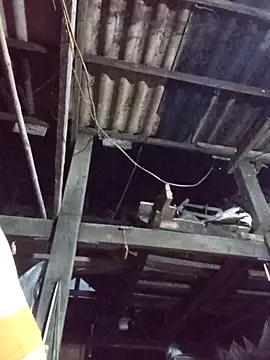 dakota-kis online show from 03-30-26, 11:44