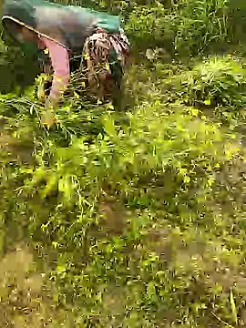 hornycouple20000 online show from 01-08-26, 05:43