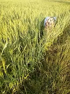 hornycouple20000 online show from 02-21-26, 11:55