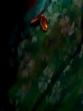 ramya sri online show from 02-02-26, 09:30