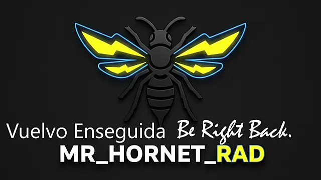 s hornet online show from 05-04-26, 01:18