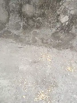 Snapshot of sexyboy_917 chatting on 03-05-26, 12:45 sexyboy 917 online show from 03-05-26, 12:45