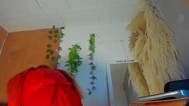 Snapshot of Alice_randyy chatting on 02-09-26, 01:04 Alice randyy online show from 02-09-26, 01:04