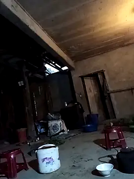 vesla-2k online show from 04-20-26, 10:33