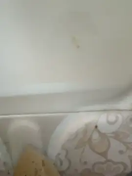 Snapshot of Pagelboy_089 chatting on 02-19-26, 08:43 Pagelboy 089 online show from 02-19-26, 08:43