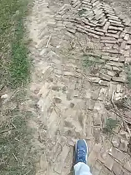 Pagelboy 089 online show from 03-27-26, 08:20