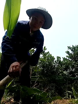 vanvan005 online show from 04-08-26, 03:17