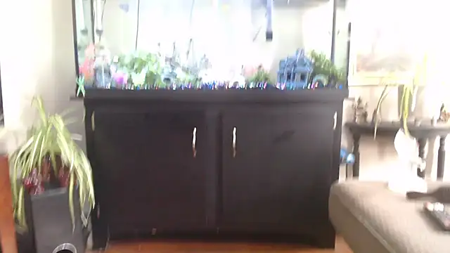 EspanolVato online show from 04-15-26, 07:58