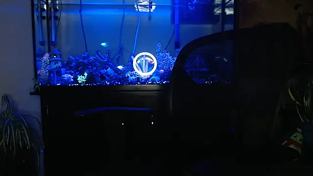 EspanolVato online show from 04-22-26, 08:28