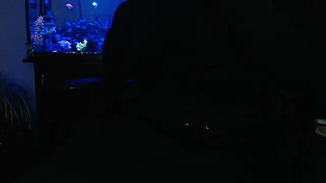 EspanolVato online show from 04-28-26, 08:19