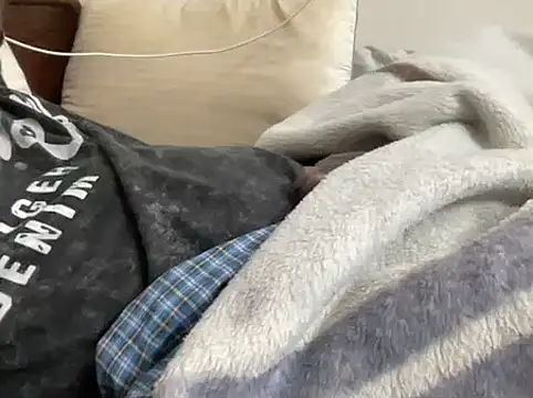 mdlaif1111 online show from 02-10-26, 01:43