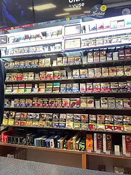 Snapshot of Dominic2295 chatting on 02-17-26, 05:04 Dominic2295 online show from 02-17-26, 05:04