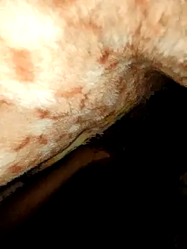 Snapshot of rohit16770 chatting on 01-18-26, 07:06 rohit16770 online show from 01-18-26, 07:06