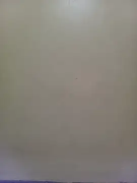 Snapshot of TRACYTOTO26 chatting on 06-23-26, 03:54 TRACYTOTO26 online show from 06-23-26, 03:54