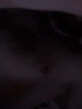 Di717 online show from 03-23-26, 09:30