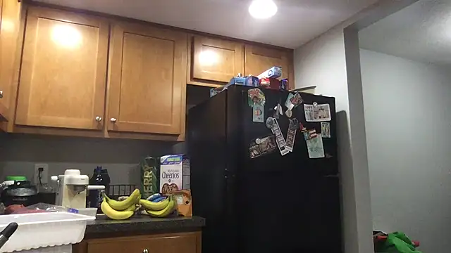 bottombeargaming online show from 01-14-26, 02:28