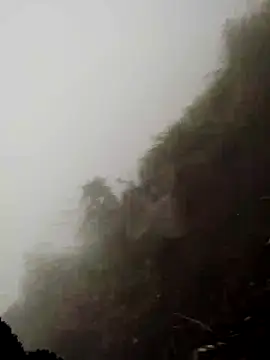 cdyyds-69 online show from 03-11-26, 01:55