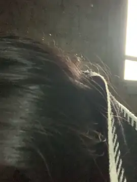 Naalyy online show from 03-13-26, 03:24