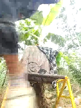 leona118 online show from 04-09-26, 01:49