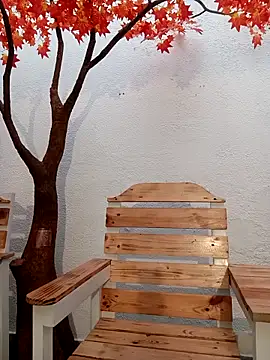 Dante Knox online show from 04-29-26, 11:25