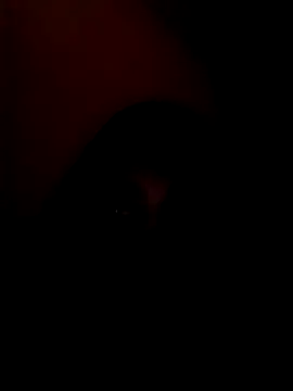 arushi bb online show from 01-15-26, 03:38