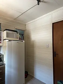 Snapshot of dogfrota chatting on 03-06-26, 02:46 dogfrota online show from 03-06-26, 02:46