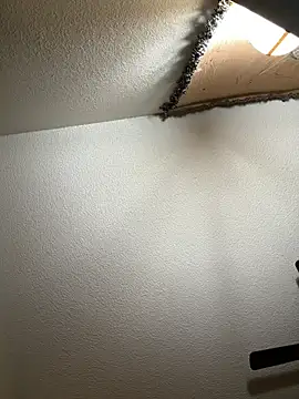 Snapshot of JoeyBlazy chatting on 01-12-26, 01:00 JoeyBlazy online show from 01-12-26, 01:00