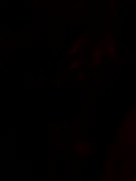 tropicalpied online show from 01-16-26, 04:38