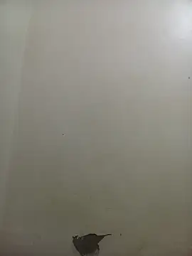 PatriciaVen online show from 02-10-26, 04:05