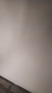 Snapshot of sterng6969 chatting on 03-16-26, 05:24 sterng6969 online show from 03-16-26, 05:24