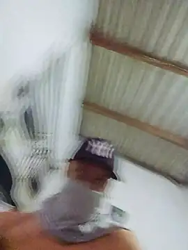 novinho br29 online show from 02-17-26, 08:04