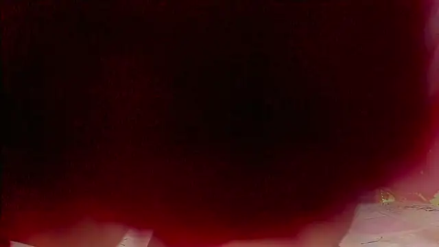 Snapshot of sweet__luna__ chatting on 02-21-26, 11:00 sweet luna online show from 02-21-26, 11:00