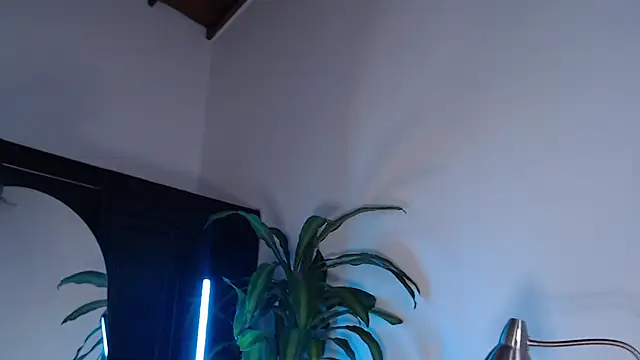 Mia Volkova  online show from 07-30-26, 02:27