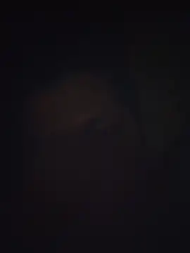 Snapshot of Pravin9562 chatting on 03-04-26, 07:09 Pravin9562 online show from 03-04-26, 07:09