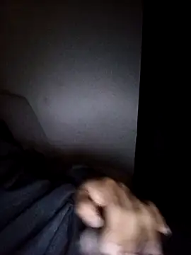 Snapshot of CorrectMusic2 chatting on 02-11-26, 09:03 CorrectMusic2 online show from 02-11-26, 09:03