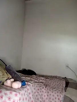 gatodepauduro online show from 04-18-26, 12:31