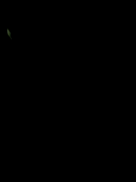 big12phase online show from 03-14-26, 04:51