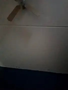 dewimp1 online show from 02-01-26, 10:14