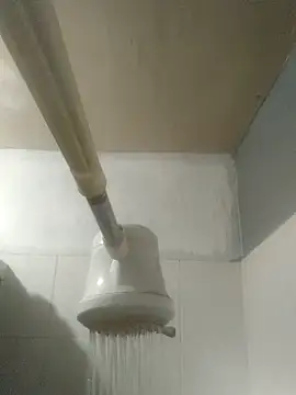 TU PITUDO FAV BB 19CM online show from 03-02-26, 06:58