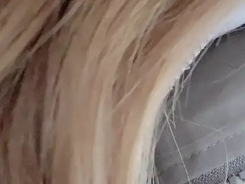 Snapshot of dingding-520 chatting on 03-04-26, 01:06 dingding-520 online show from 03-04-26, 01:06