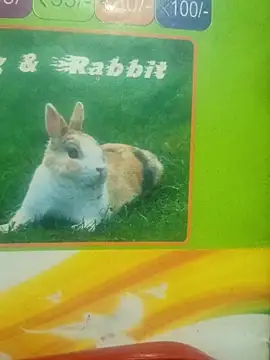 Snapshot of Lovable_dude chatting on 03-12-26, 05:19 Lovable dude online show from 03-12-26, 05:19