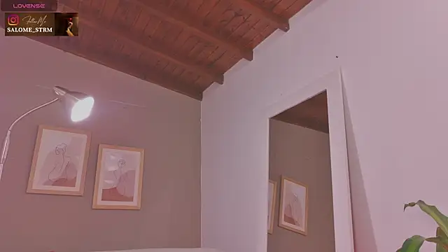 SalomeStorm  online show from 06-10-26, 02:27