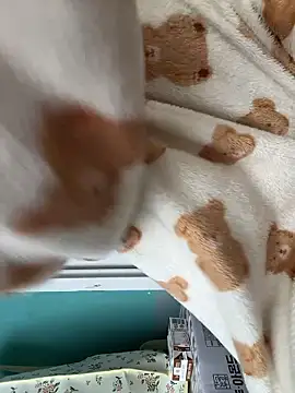 Snapshot of wjddjwjd chatting on 03-12-26, 08:20 wjddjwjd online show from 03-12-26, 08:20