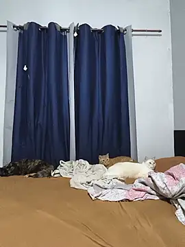 jonyboypriv online show from 06-18-26, 08:13