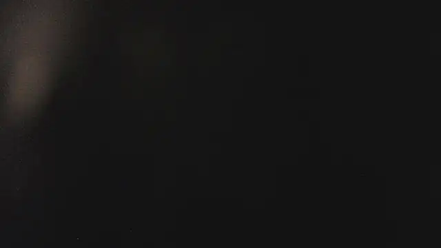 Snapshot of Fancy_Vixen chatting on 02-27-26, 03:50 Fancy Vixen online show from 02-27-26, 03:50