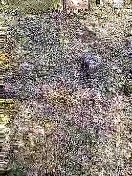 Cute Boy 4 online show from 04-29-26, 07:23